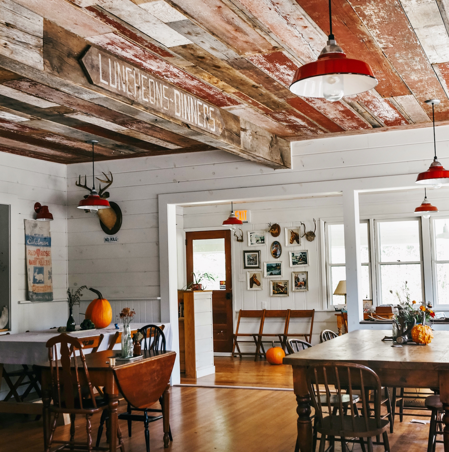Rochester Vintage Industrial Cord Pendant | Courtesy of Melissa Kawecki, Harrison Lubin, and Kris Kiger